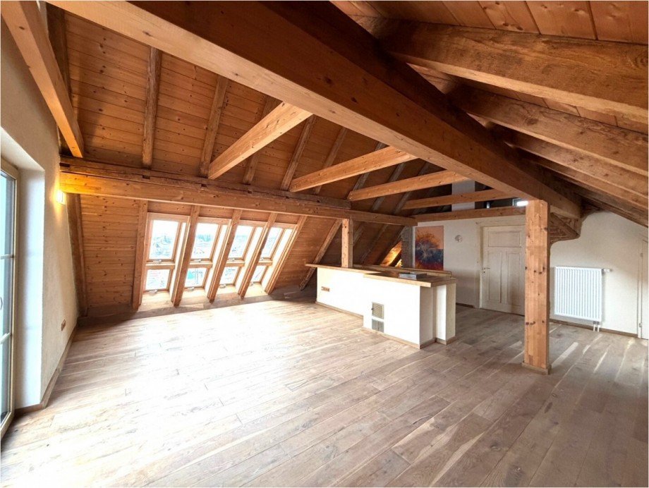 Dachstudio Einfamilienhaus Roggenburg / Schie�en