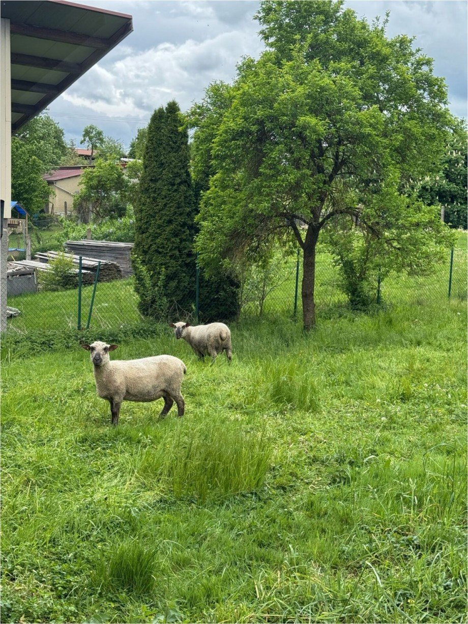 dazugeh�riges Grundst�ck hinter dem haus Bauernhaus Ballendorf