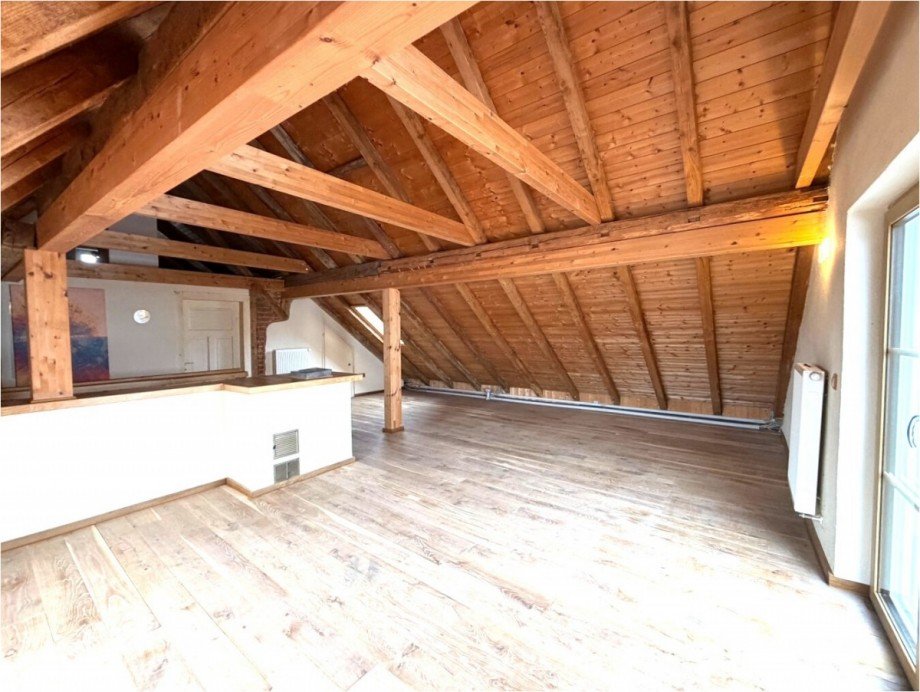 Dachstudio Einfamilienhaus Roggenburg / Schie�en
