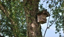 Obstbaumbestand_3 LEBEN auf dem Land! Grundst�ck mit Abrisshaus -  1.049 m� - K�uferprovisionsfrei!