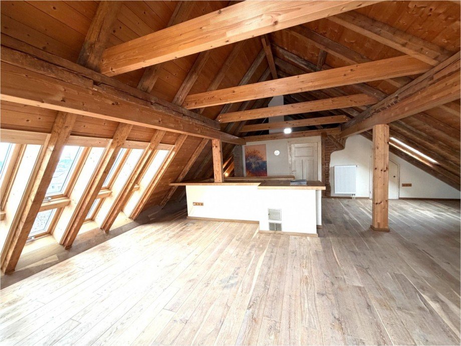 Dachstudio Einfamilienhaus Roggenburg / Schie�en